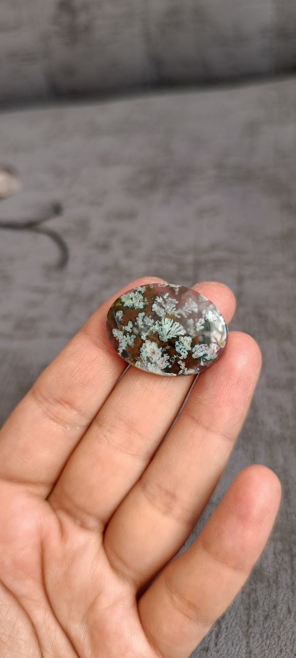 شجر هفت رنگ بهاره