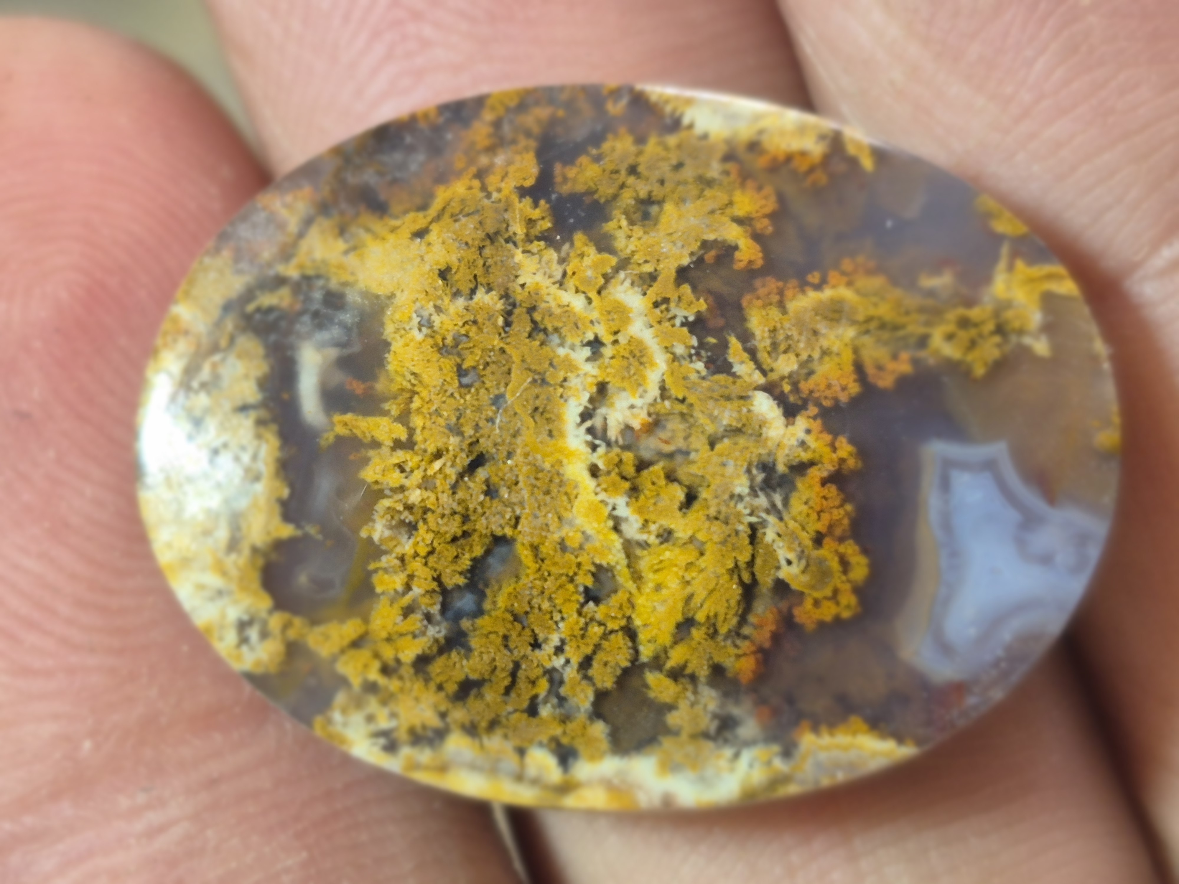 عقیق پاییزه سایز مدالی