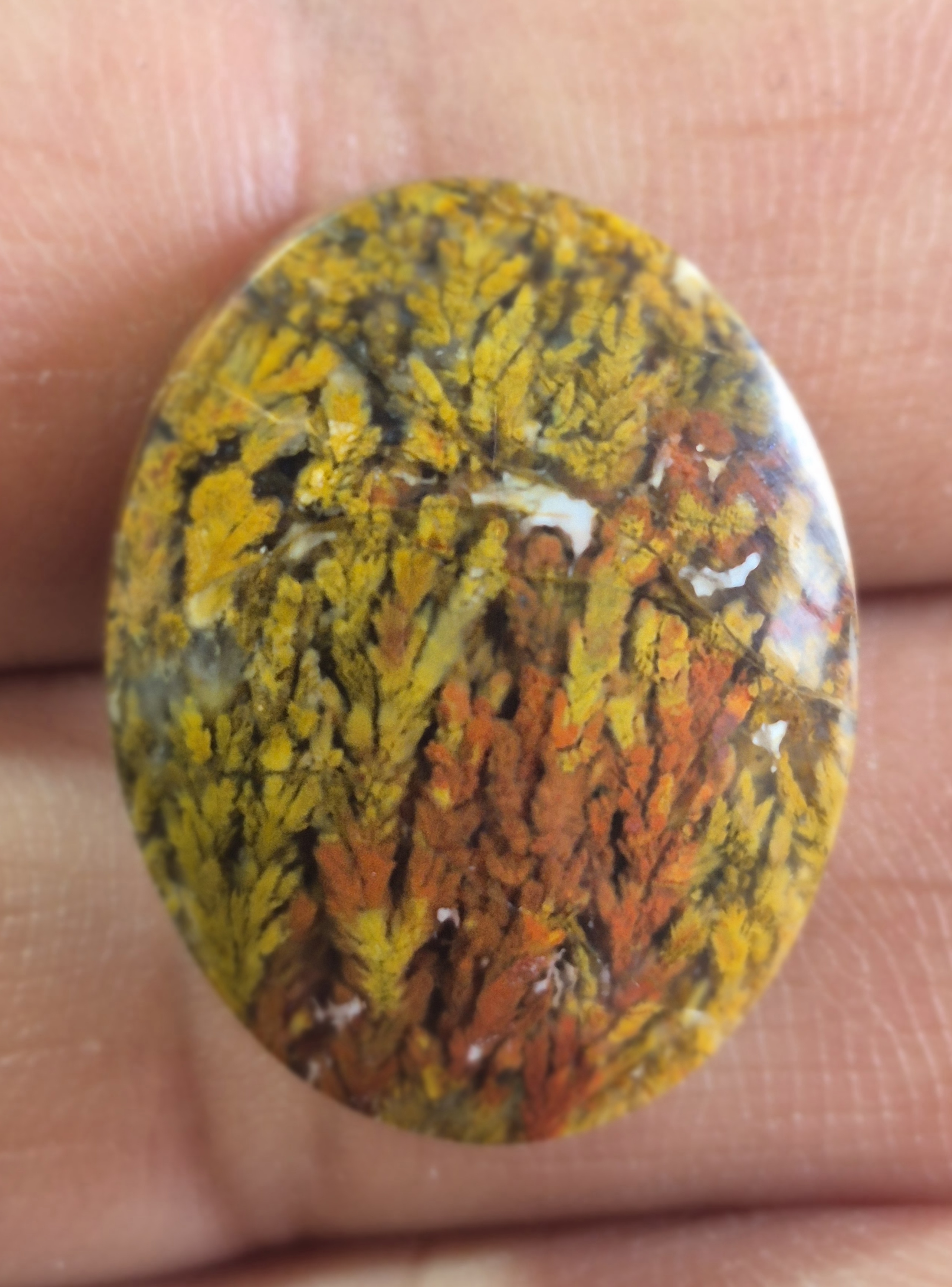 شجر پاییزه سایز مدالی