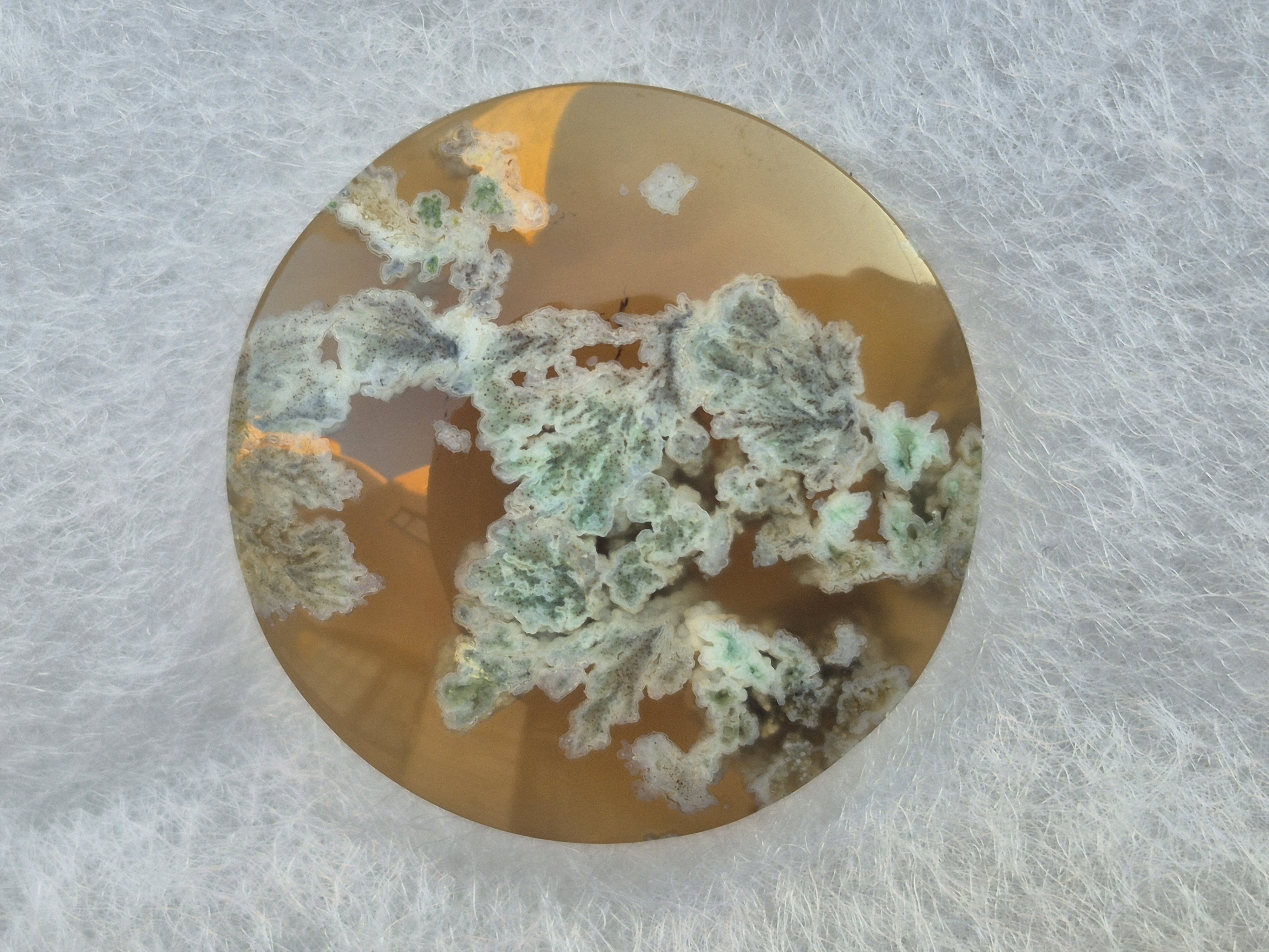 عقیق شجر بهاره سایز مدالی