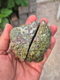 ژئود کلکسیونی
