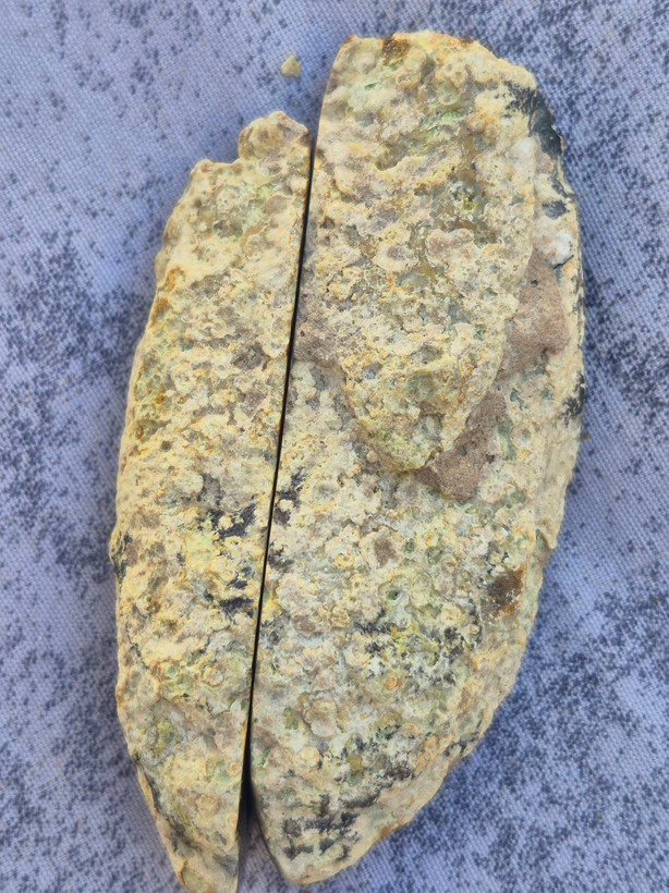 ژئود کلکسیونی